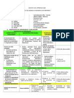 Sesión de Aprendizaje Balonmano Patricia