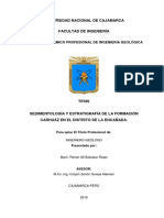 Sedimentología y Estratigrafía de La Formación Carhuáz en El Distrito de La Encañada