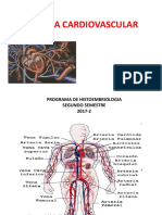 Sistema Cardiovascular Histoembriologia