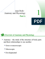 The Human Body: Anatomy and Physiology: Part A