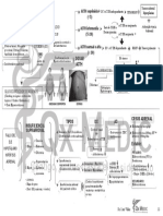 Patologia Suprarrenal