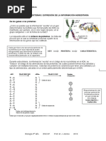 Z Sintesis de Proteinas Segunda Parte 2019