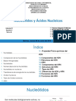 Acidos Nucleicos y Nucleotidos 21 (Autoguardado)