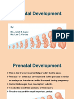 Prenatal Development Part 1 by Lea Cortez