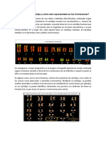 Qué Es Un Cariotipo y Como Esta Representado en Los Cromosomas