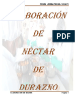 Elaboracion Del Necar de Durazno