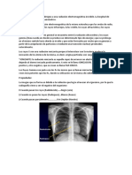 Anatomía Informe 