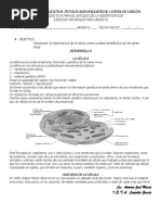 Guìa Taller La Celula