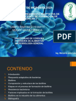 Activación de La Respuesta Adaptativa de Bacterias Micro