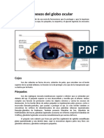 Anexos Del Globo Ocular y Medios Refringentes