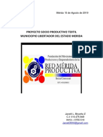 Proyecto Socio-Productivo Janett