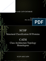 SCOP and CATH Database