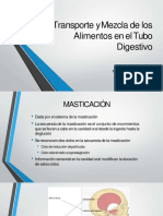 Transporte y Mezcla de Los Alimentos