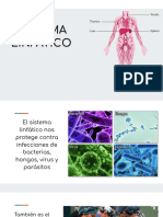 Sistema Linfoide PDF