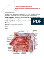 Questões Anato P2 - Mód 2