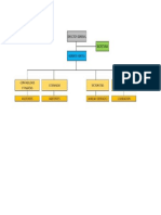 Organigrama Agente de Aduana