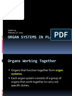 Snc2p U1l13 Organ Systems in Plants