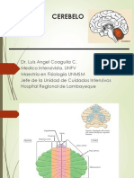 5.2 Cerebelo