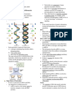 Nucleotides,: Roles of RNA Molecules