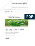 Evaluación Sumativa Ciencias Naturales