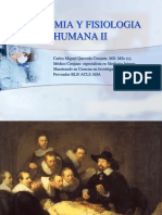 Anatomia y Fisiologia Ii