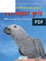 Perroquet Gris: Comment Élever Son Jeune