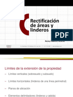 Rectificación de Áreas y Linderos