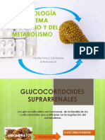 Farmacología de Sistema Endocrino y Del Metabolismo