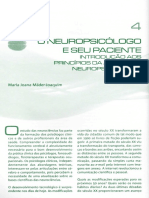 Aula 22 Abr - Mader-Joaquim, M.J - O Neuropsicólogo e Seu Paciente - Introdução Aos Princípios Da Avaliação Neuropsicológica PDF