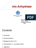 Carbonic Anhydrase-Smaranika