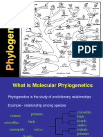 Phylogenetics