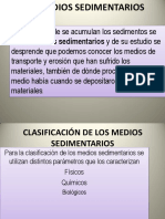 Los Medios Sedimentarios V