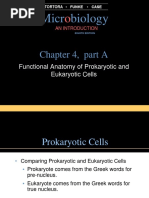 Micr Biology: Chapter 4, Part A