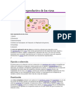 Ciclo Reproductivo de Los Virus