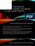 Specific Species of Extinct Animal or About To Become Extinct