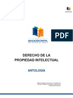 A. Derecho de La Propiedad Intelectual