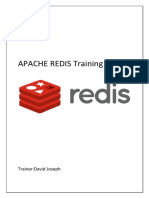 APACHE REDIS Training: Trainer:David Joseph