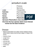 Plasmodium Ovale: Phylum Subphylum Class Subclass Family Genes Species:Plasmodium Ovale