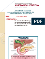 Pancreatitis Aguda