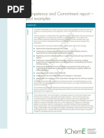 CC Report Example Sav