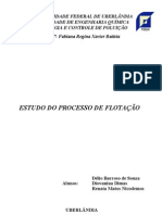 Estudo Do Processo de Flotação - Final