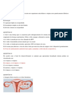 Questões Sobre A Reprodução Humana - Prof. Adão Marcos Graciano