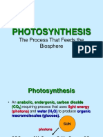 Photosynthesis: The Process That Feeds The Biosphere