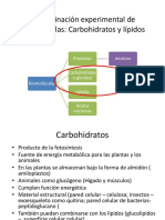 LAB 3. Carbohidratos y Lípidos