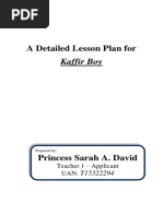 DEMO Lesson Plan