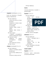 Anatomia Dentária