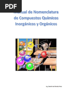 Manual de Nomenclatura de Compuestos Inorganicos y Organicos-1