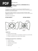 Practica 4 Word PDF