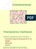 Familia Enterobacteriaceae