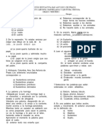 Plan de Apoyo Español y Lectura Critica